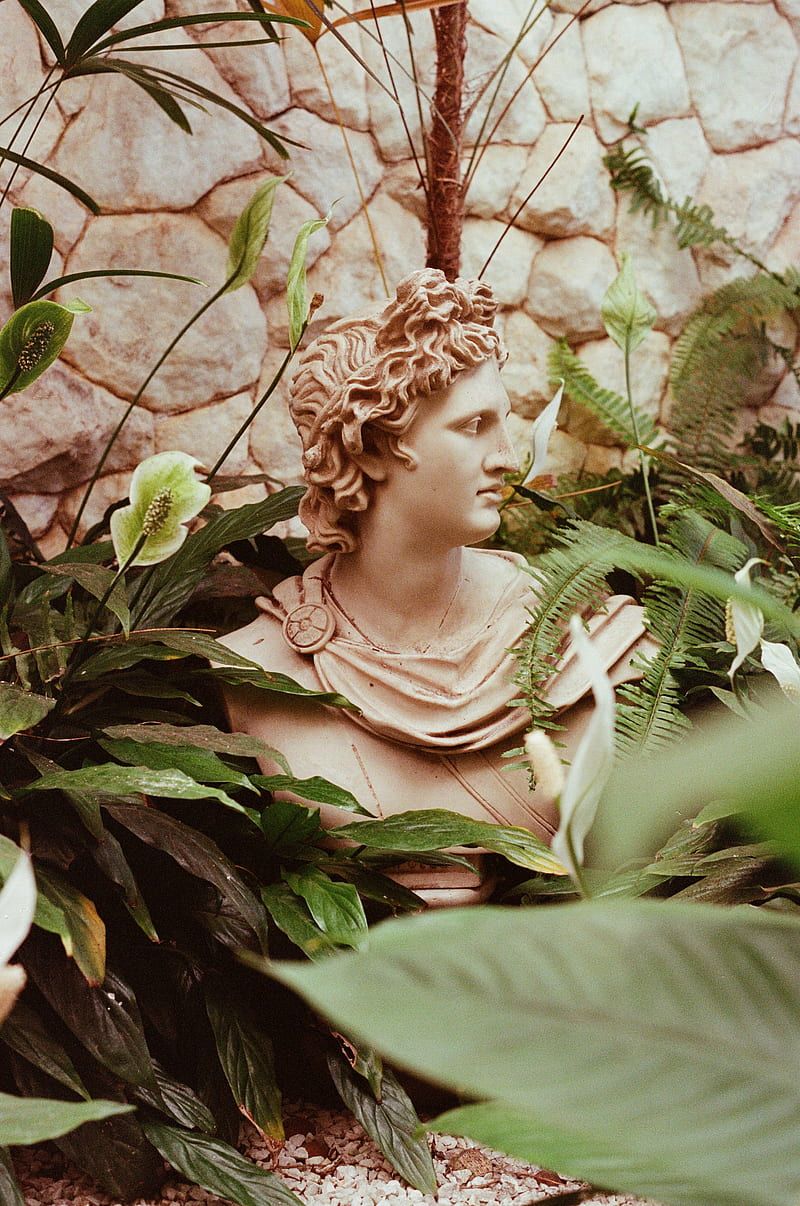 Statue, Pflanzen, Blätter, Natur, HD, Handy-Hintergrund im Hochformat