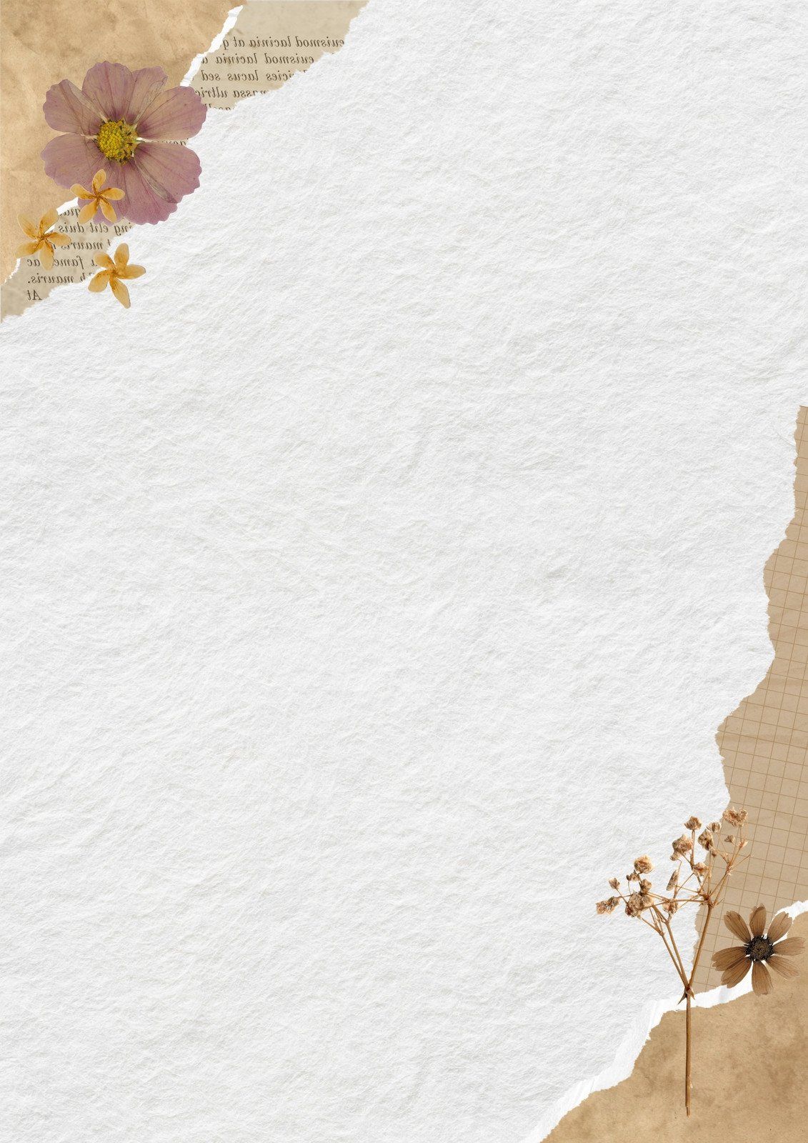 Papiertextur, Gerissenes Papier, Getrocknete Blumen, Vintage, Full HD, iPad-Hintergrundbild
