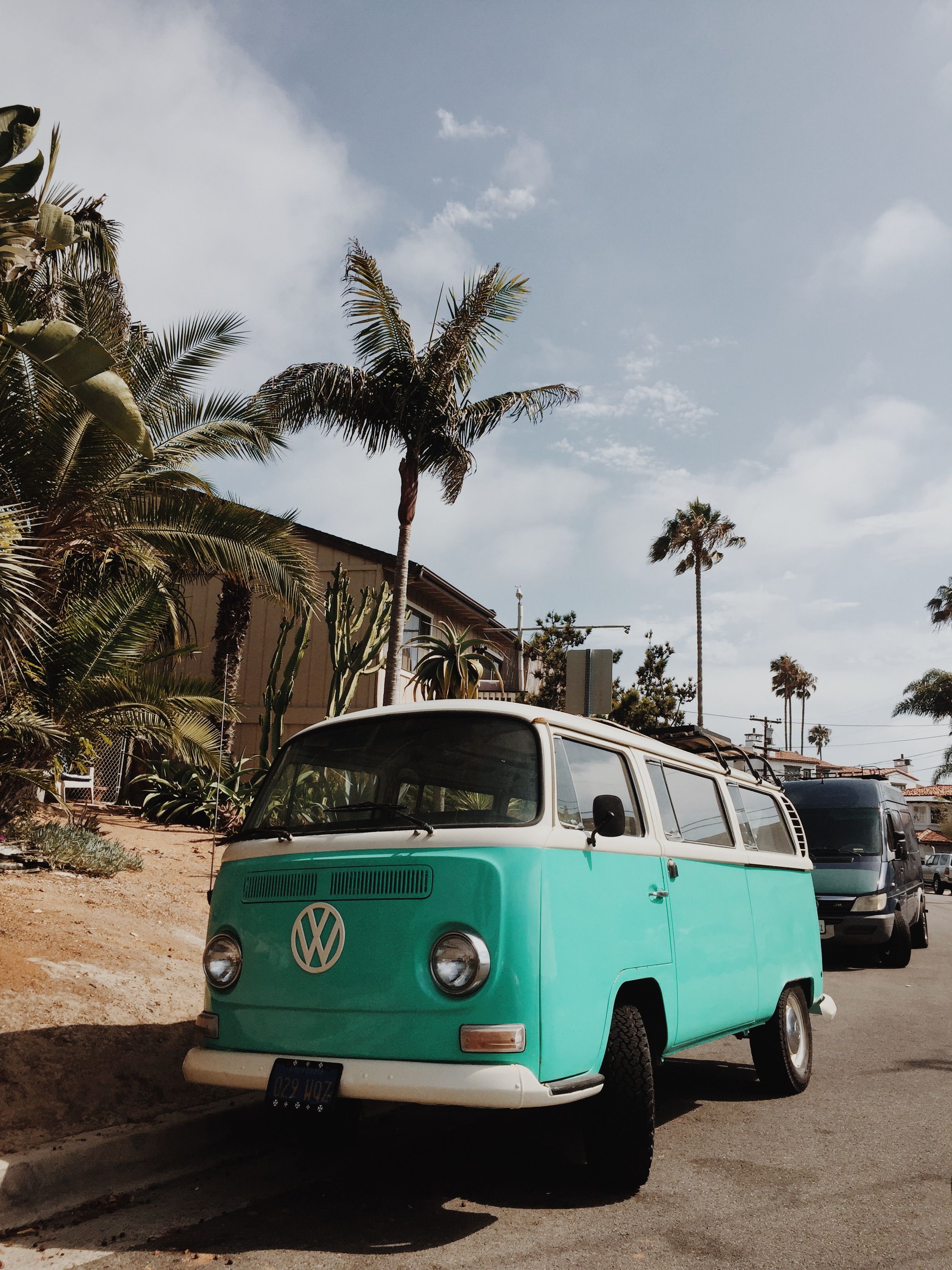 VW T2, VW Bulli, Mintgrün, Palmen, Oldtimer, QHD+, Hintergrundbild fürs Tablet
