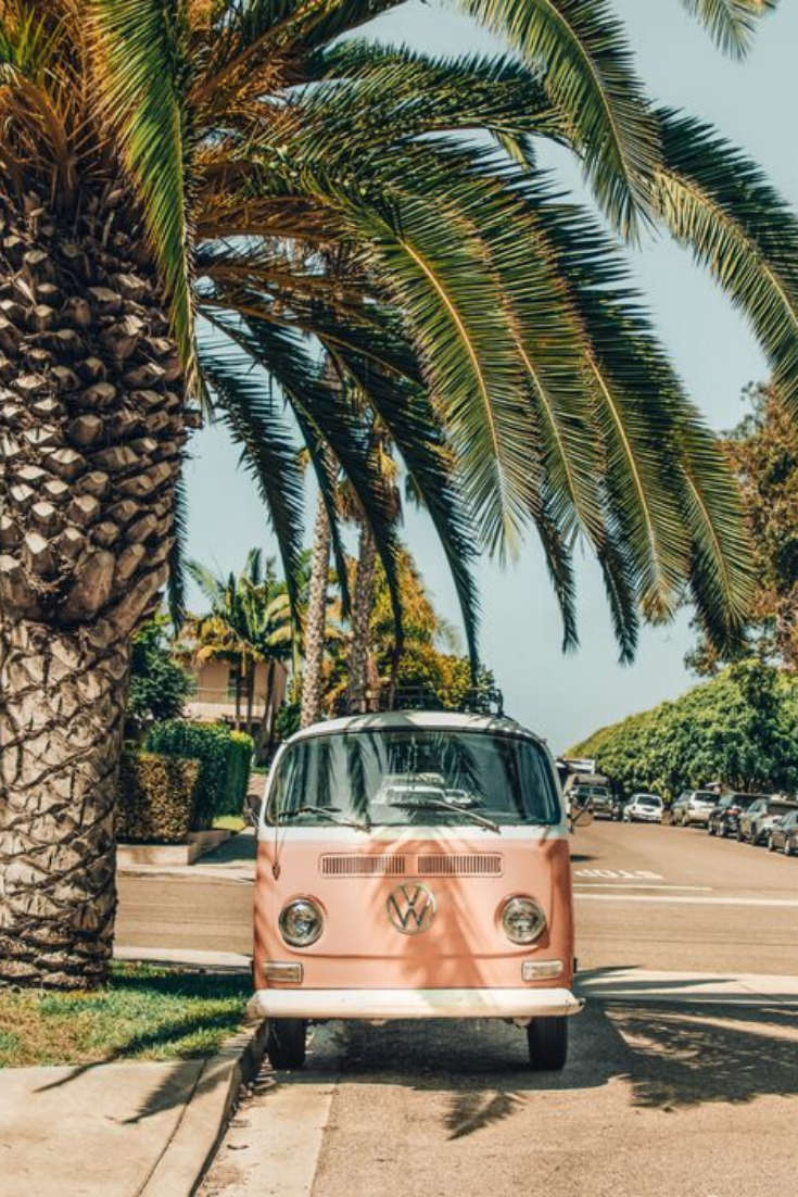 VW T2, Volkswagen, Palme, Rosa, Straße, HD, Hintergrundbild fürs Tablet