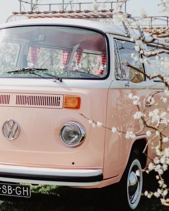 VW T2, VW Bulli, Rosa, Blüten, Frontansicht, Hintergrundbild für iPad und Tablet