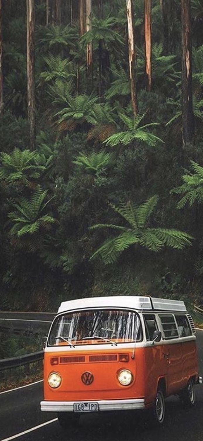 VW T2, VW Bulli, Dschungel, Farne, Orange, Hintergrundbild für iPhone und Android