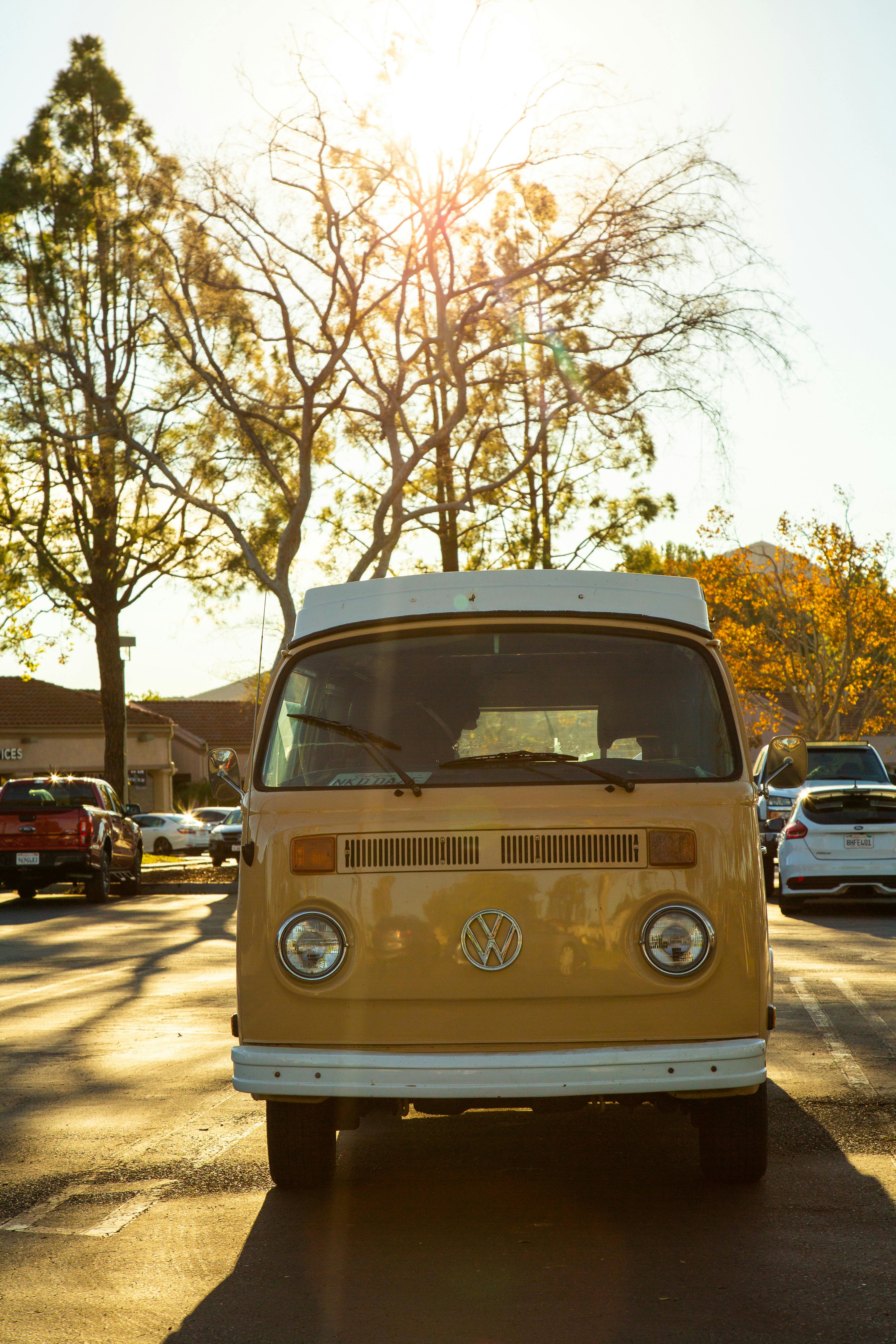 VW T2, VW Bulli, Gelb, Gegenlicht, Bäume, QHD+, Hintergrundbild fürs Handy