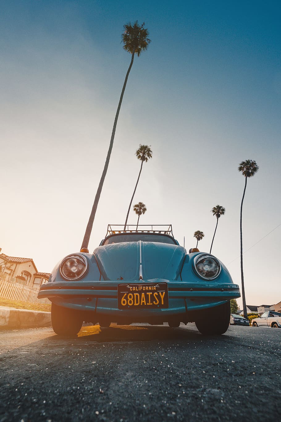 VW Käfer, Volkswagen, Blau, Palmen, Gegenlicht, HD, Sperrbildschirm fürs iPhone