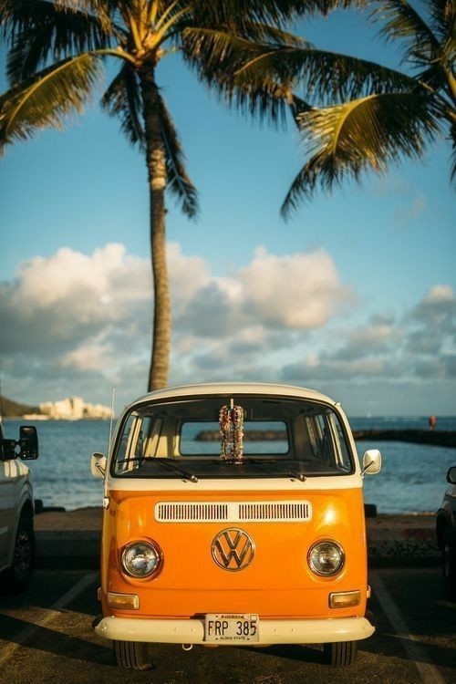 VW T2, VW Bulli, Orange, Palme, Frontansicht, Hintergrundbild für iPhone und Android