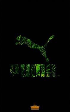Puma, Logo, Grüner Glitch, Schwarzer Hintergrund, Wallpaper