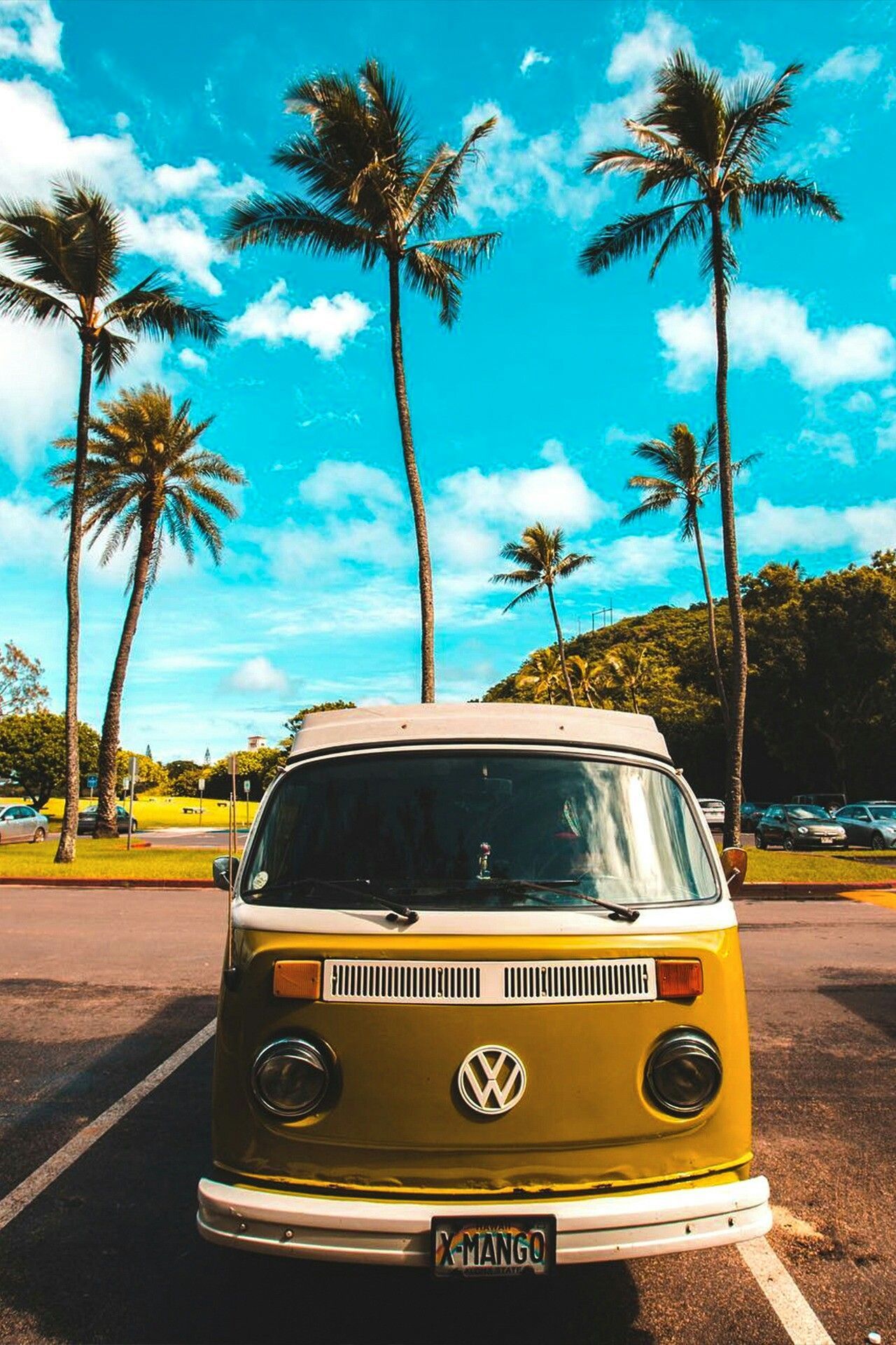 VW T2, VW Bulli, Palmen, Blauer Himmel, Tropen, Full HD, Hintergrundbild fürs Handy