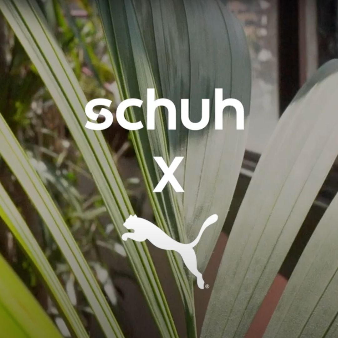 Schuh x Puma, Logo, Pflanzenblätter, Kollaboration, Hintergrundbild für iPad und Tablet