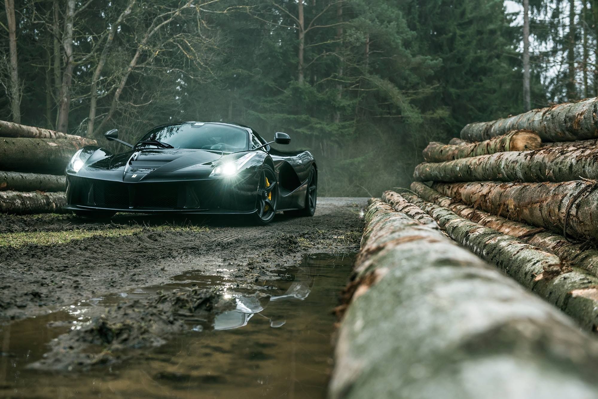Ferrari LaFerrari, Schwarz, Wald, Baumstämme, Scheinwerfer, Full HD, Desktop-Hintergrund