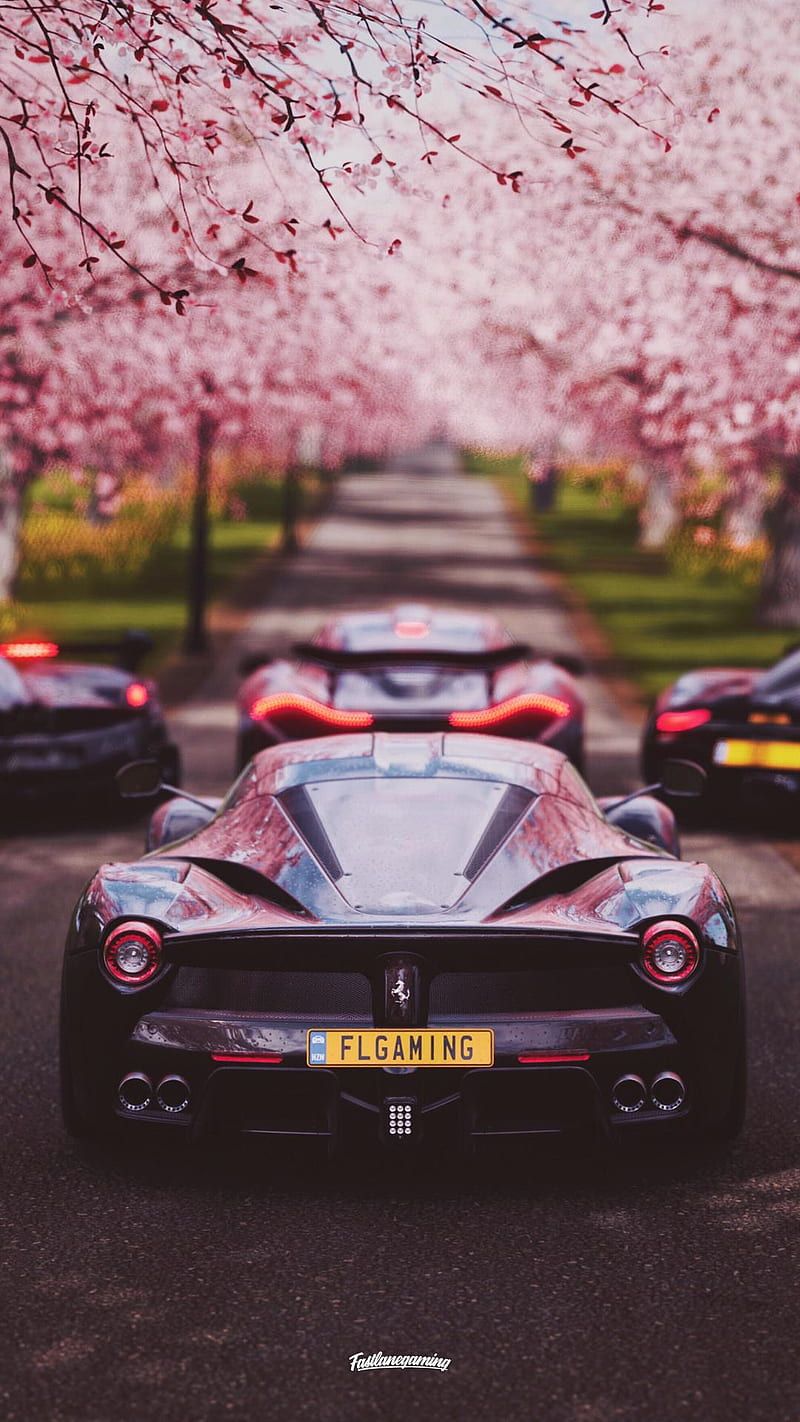 Ferrari LaFerrari, Kirschblüten, Allee, Heckansicht, Frühling, HD, Handy-Hintergrundbild