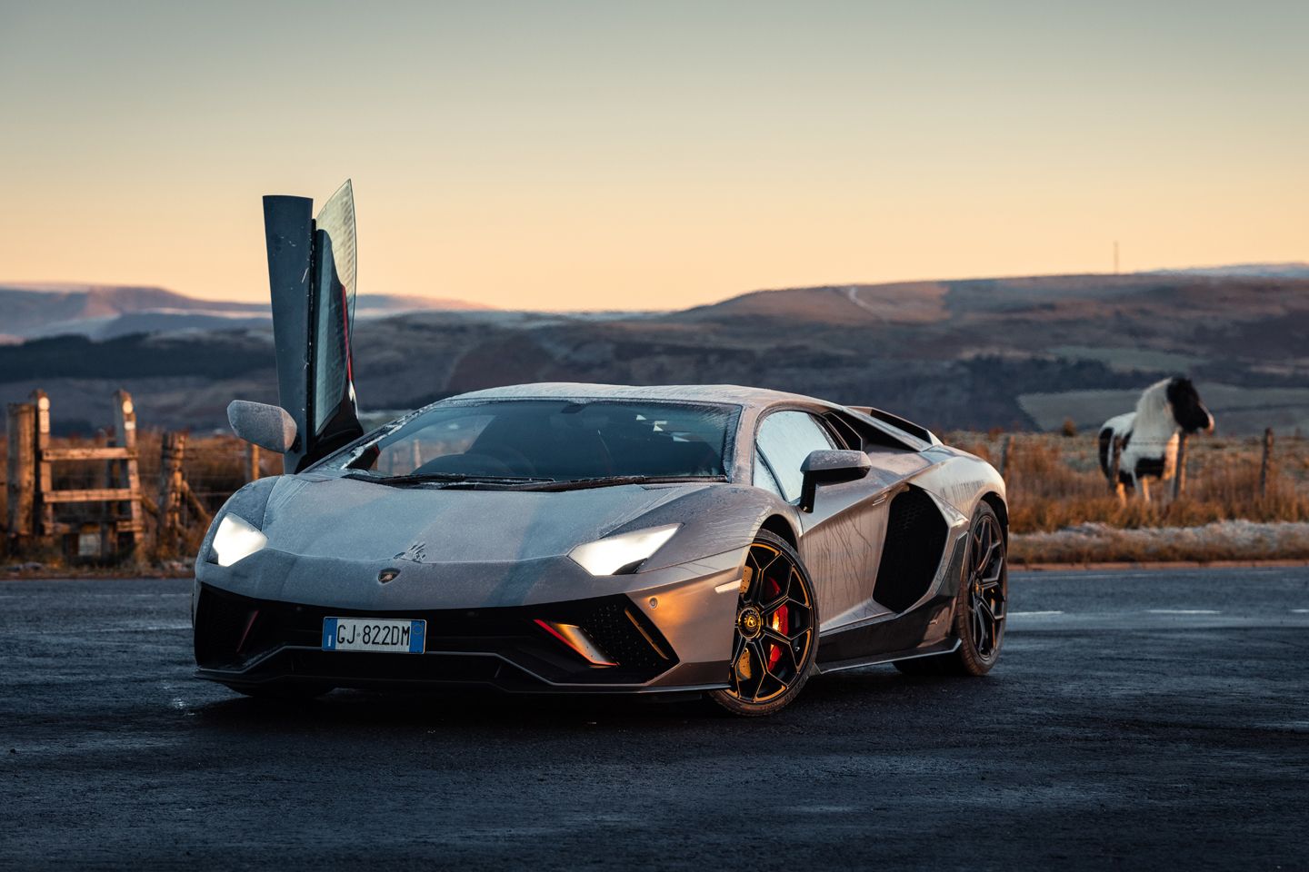 Lamborghini Aventador LP 780-4 Ultimae, Scherentüren, Grau, Pferd, Sonnenuntergang, HD-PC-Hintergrundbild