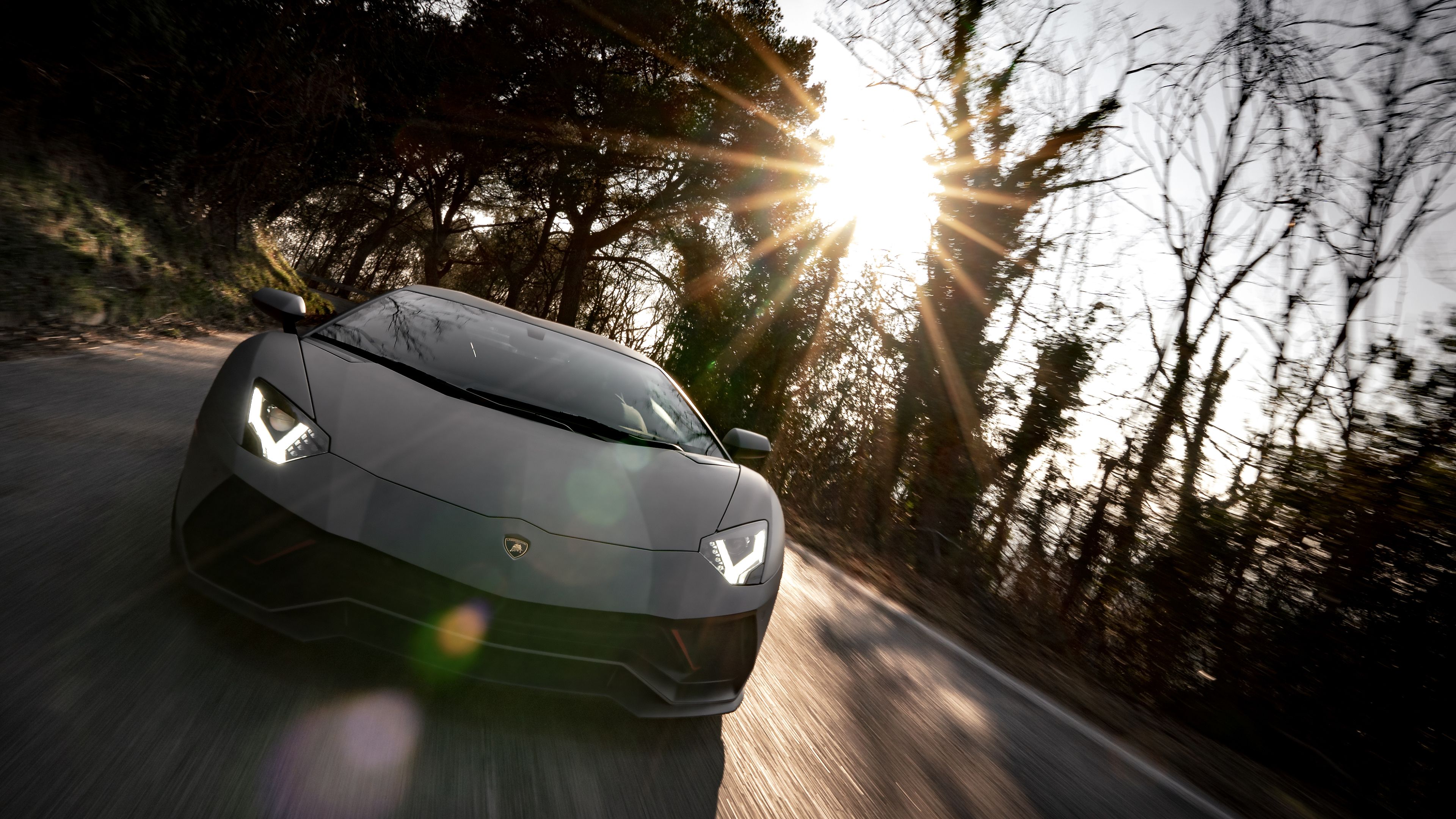 Lamborghini Aventador, Grau, Waldstraße, Gegenlicht, Sonnenstrahlen, 3840x2160, PC-Hintergrundbild