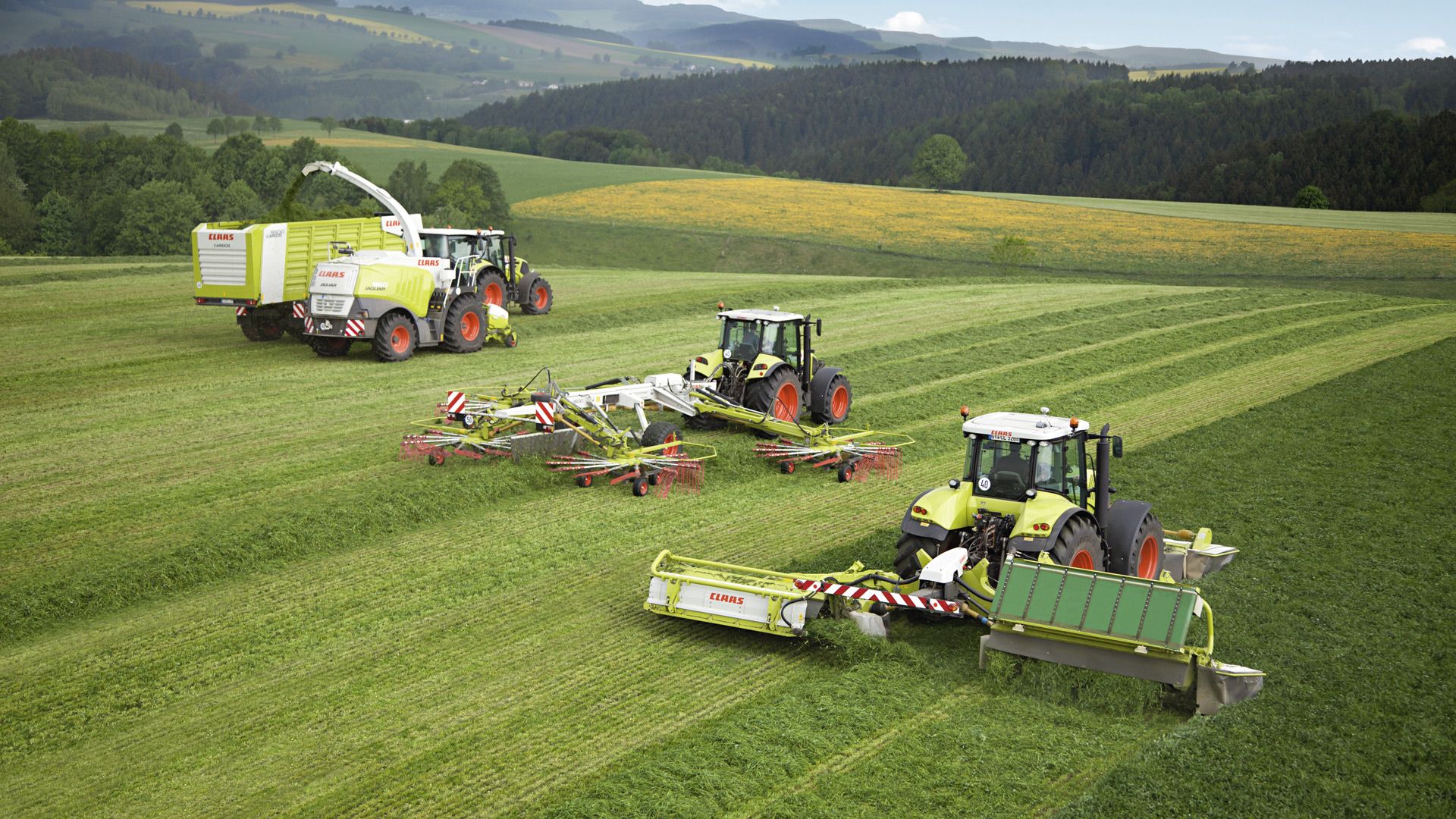 Claas, Mähwerk, Häcksler, Grünland, Ernte, Hügel, 1920x1080, Full-HD-Hintergrundbild für PC