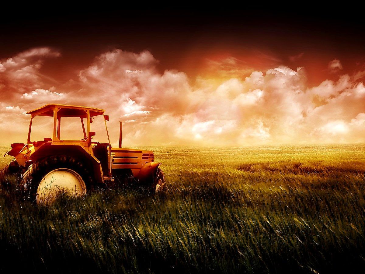 Oldtimer-Traktor, Orange, Wiese, Feuriger Himmel, Hintergrundbild für iPad und Tablet