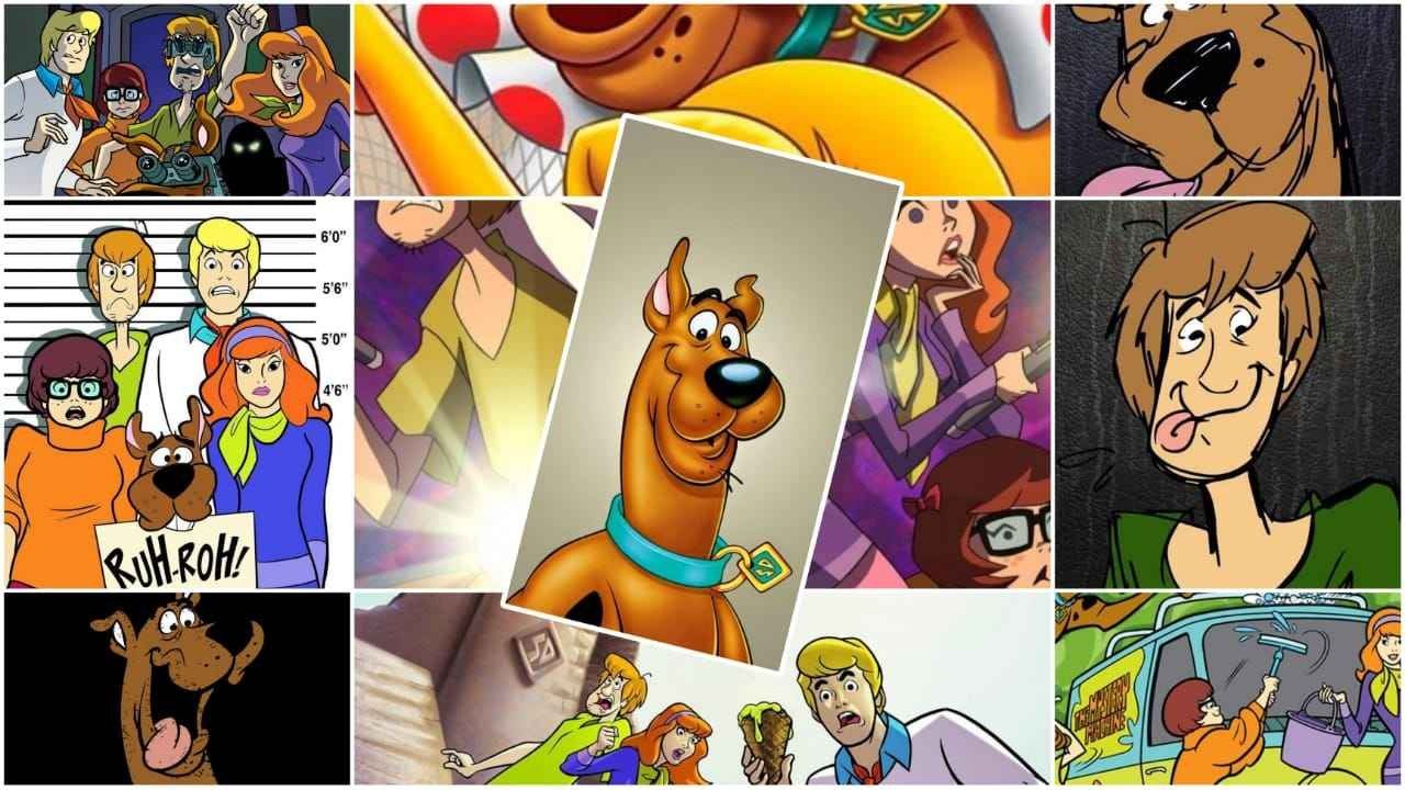 Scooby-Doo, Shaggy, Collage, Ruh-roh, Zeichentrick, HD, Desktop-Hintergrund für Windows