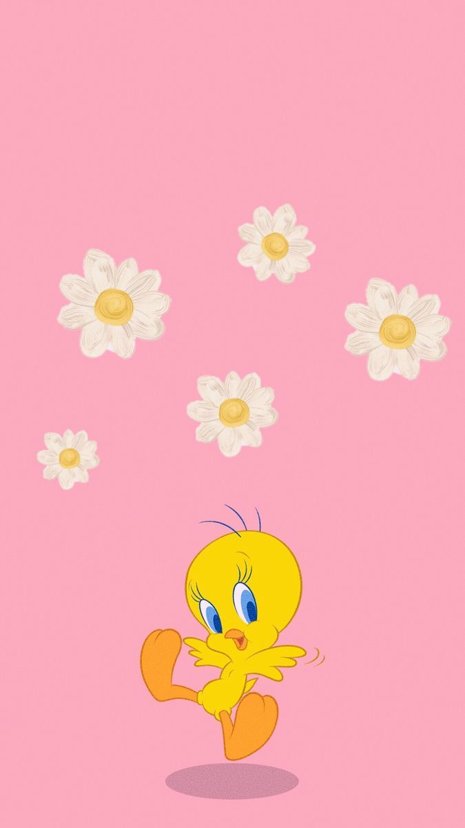 Tweety, Gänseblümchen, Rosa Hintergrund, Niedlich, Wallpaper