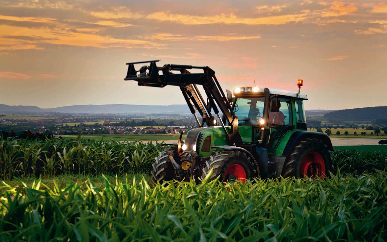 Fendt, Frontlader, Maisfeld, Abenddämmerung, 16:10, HD-Hintergrundbild für den Desktop