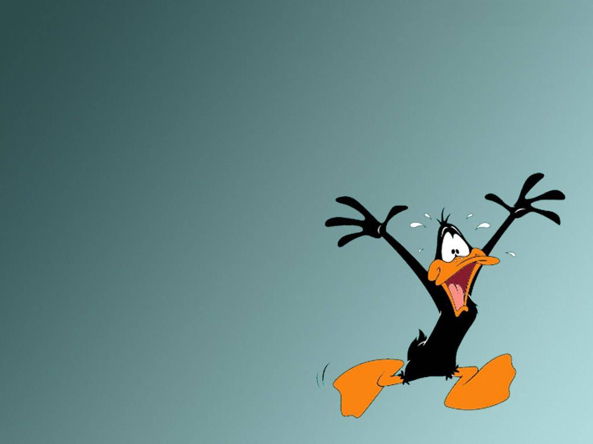 Daffy Duck, Wütend, Graublau, Zeichentrick, Full HD, Hintergrundbild fürs Tablet