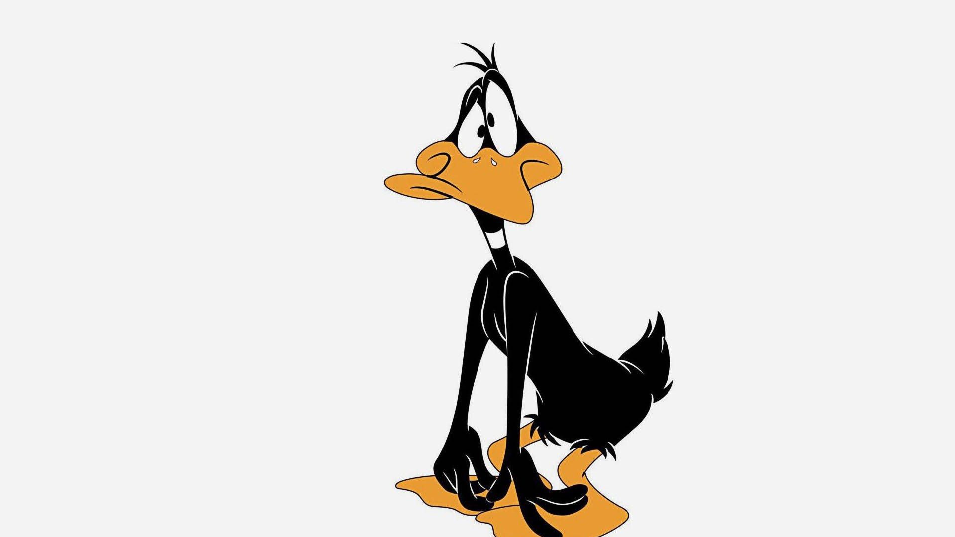 Daffy Duck, Weißer Hintergrund, Zeichentrick, Klassisch, Full HD Wallpaper