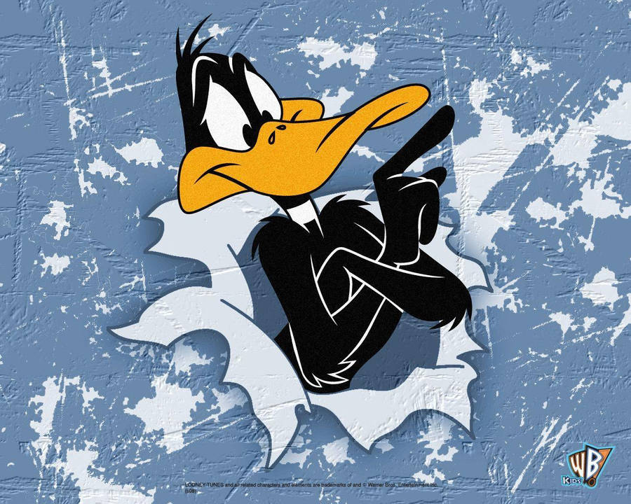 Daffy Duck, Durchbruch, Papierriss, Blau, Warner Bros., Hintergrundbild