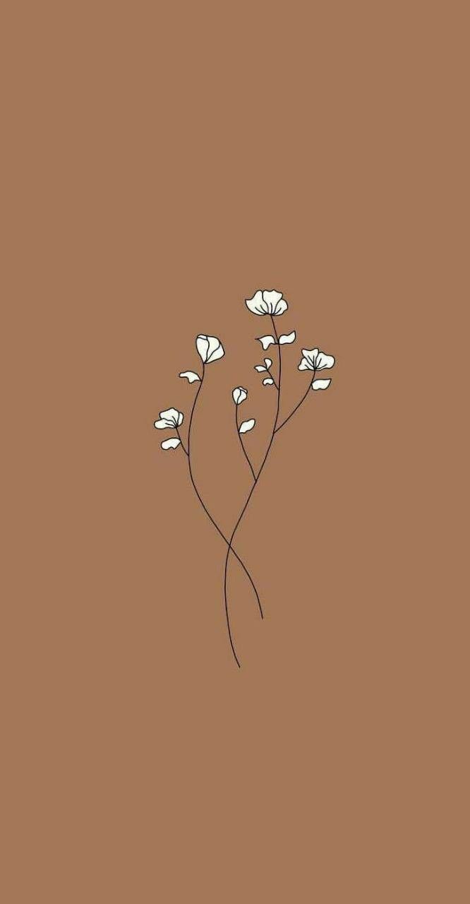 Blumenzeichnung, Linienkunst, Minimalistisch, Hellbraun, Sperrbildschirm fürs iPhone