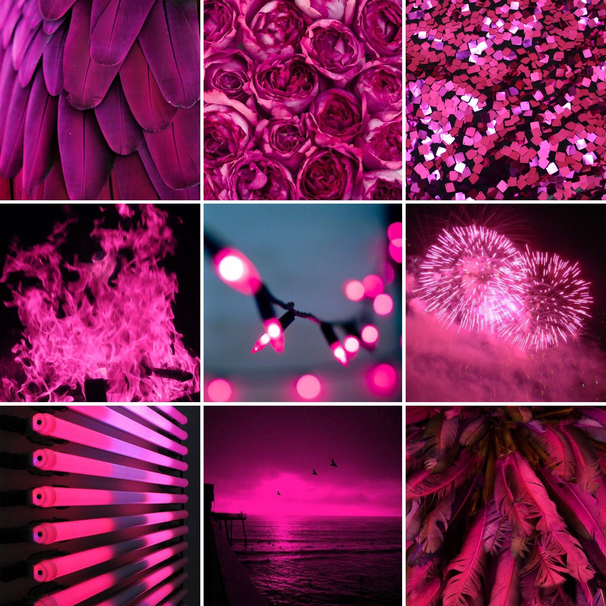 Collage, Rosen, Feuerwerk, Lichterkette, Fuchsia, Moodboard, Hintergrundbild fürs iPad
