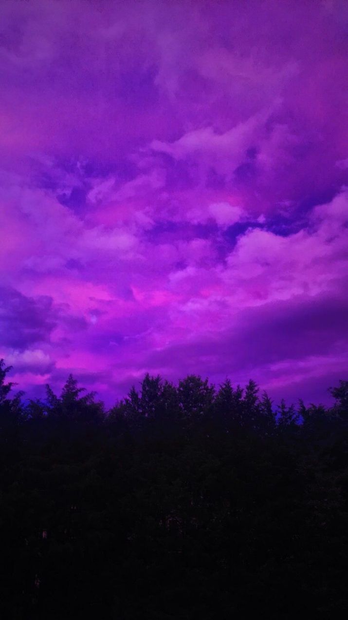 Wolken, Dramatischer Himmel, Baumsilhouetten, Neonlila, Nacht, Android-Hintergrundbild