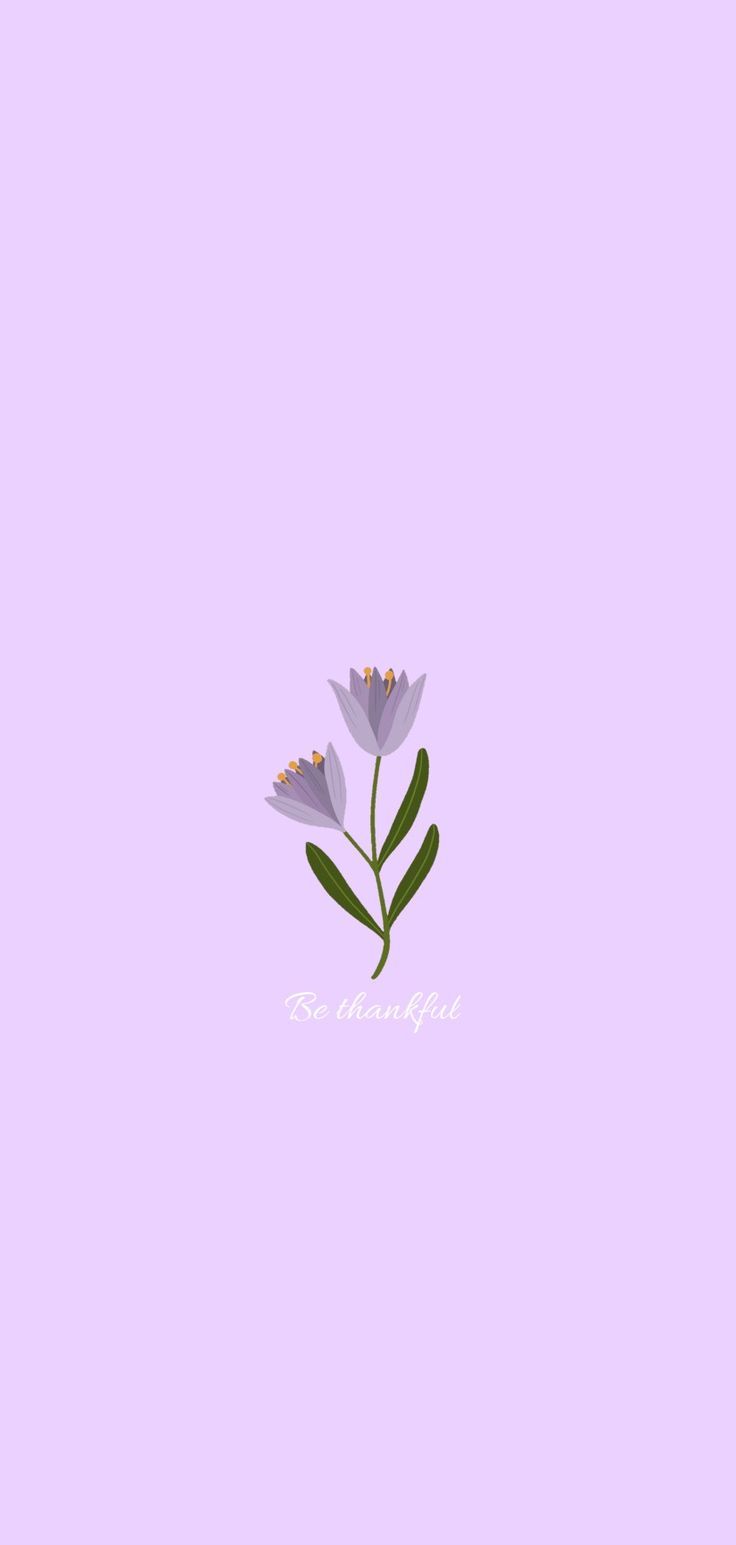Blume, Minimalismus, Pastelllila, Illustration, HD, Handy-Hintergrund im Hochformat