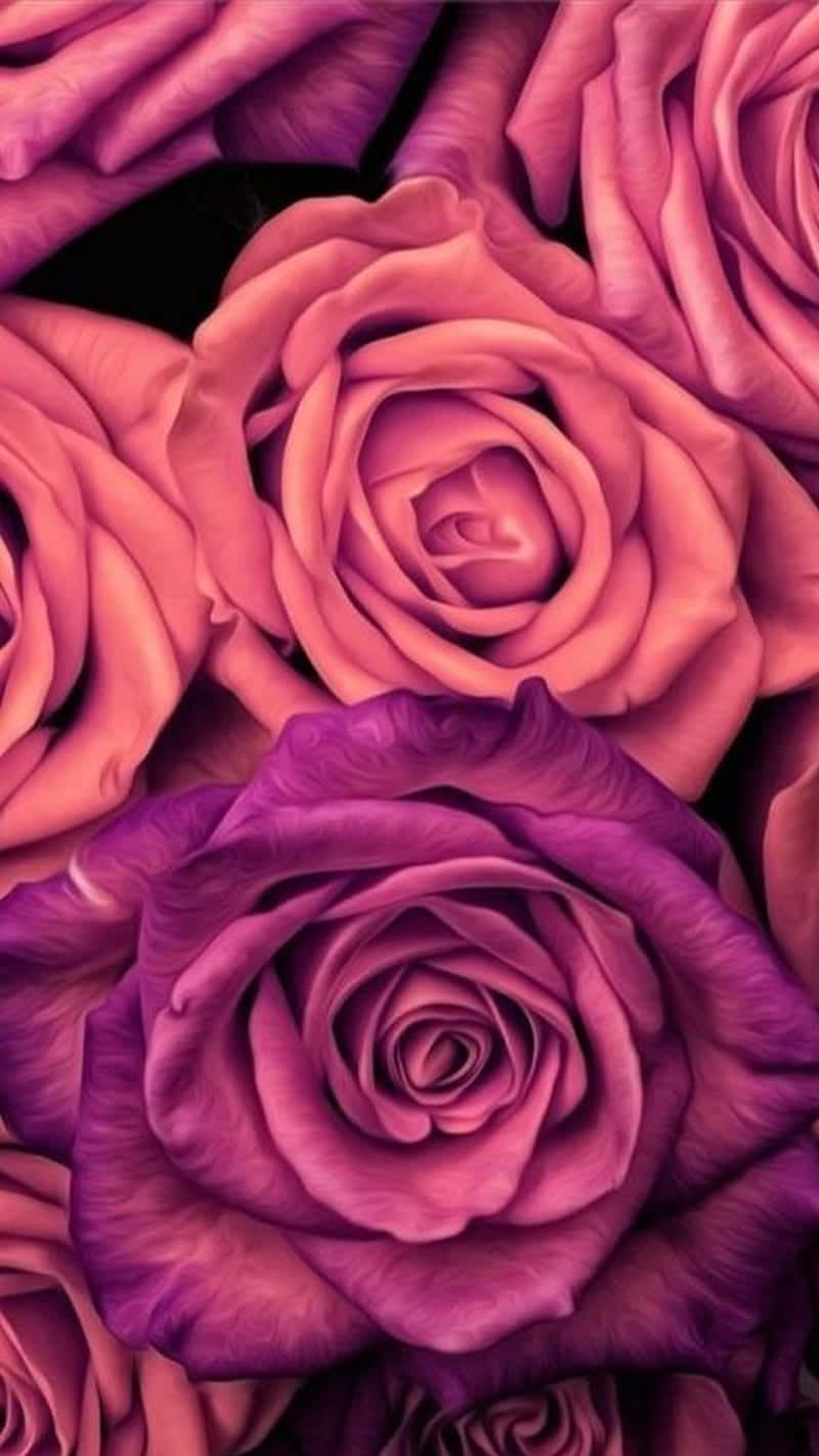 Rosen, Altrosa, Blumen, Nahaufnahme, Dunkel, Hintergrundbild für iPhone und Android