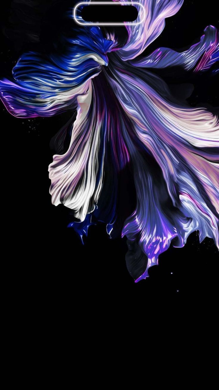 Kampffisch, Flossen, Schwarzer Hintergrund, Lila, Fisch, iPhone 16 Pro Max, Wallpaper