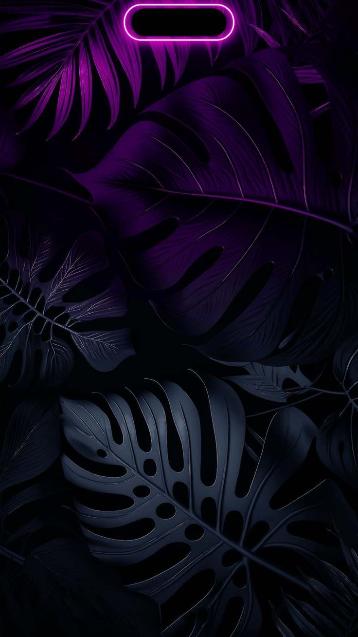 Monstera-Blätter, Dunkel, Lila, Tropenpflanzen, Hintergrundbild fürs iPhone 16 Pro Max
