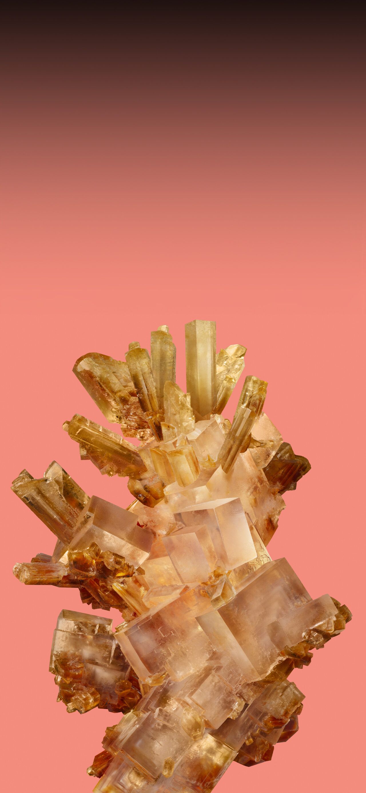 Bergkristall, Mineral, Koralle, Farbverlauf, Google-Pixel-8-Hintergrundbild