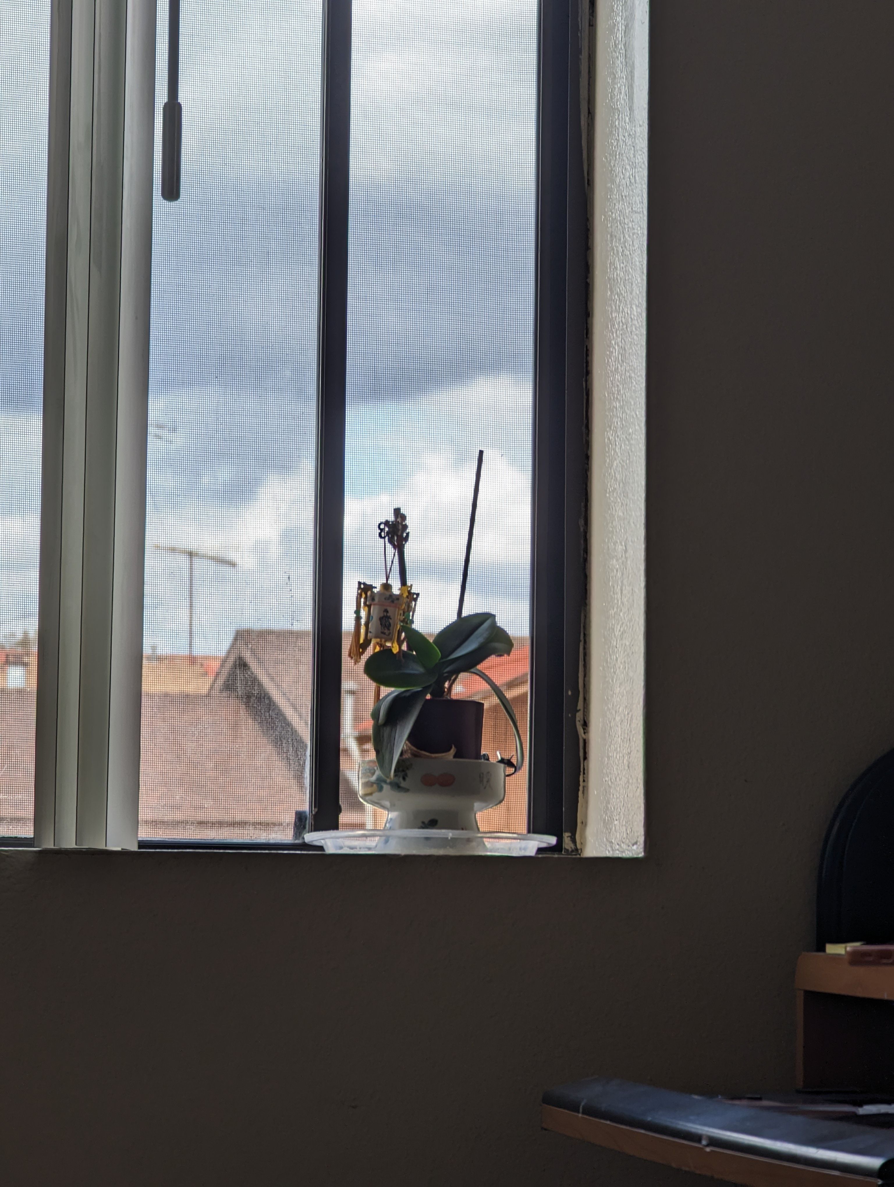 Fenster, Zimmer, Pflanze, Dunkel, Ästhetik, Hintergrundbild fürs Pixel