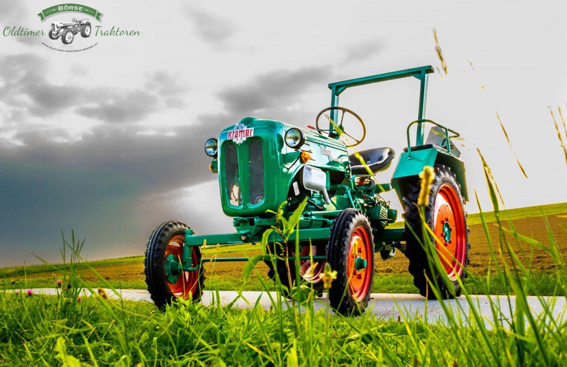 Oldtimer-Traktor, Wiese, Grün, Rote Felgen, Hintergrund