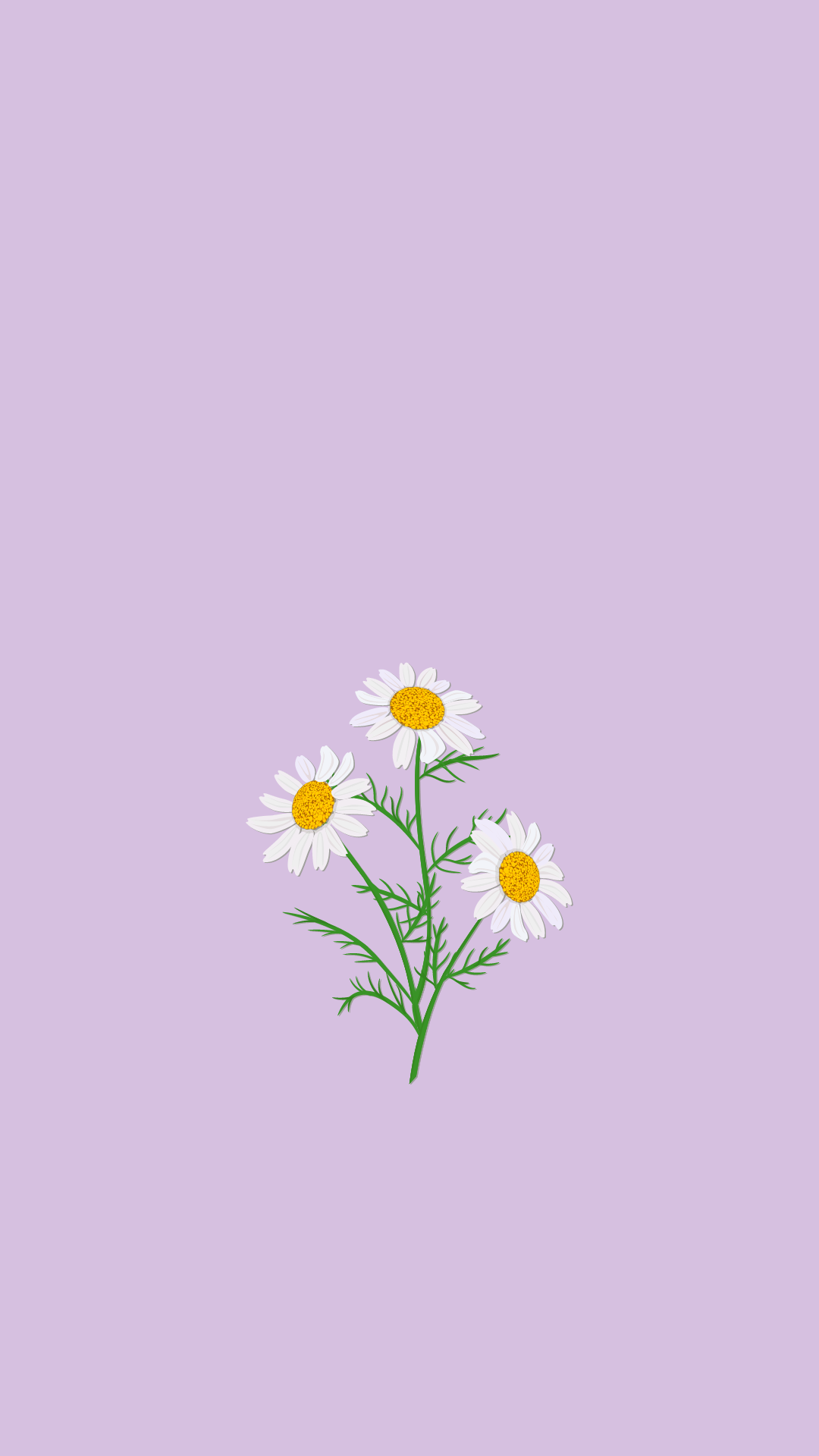 Gänseblümchen, Lavendel, Minimalismus, Blumen, Sperrbildschirm fürs Galaxy S24
