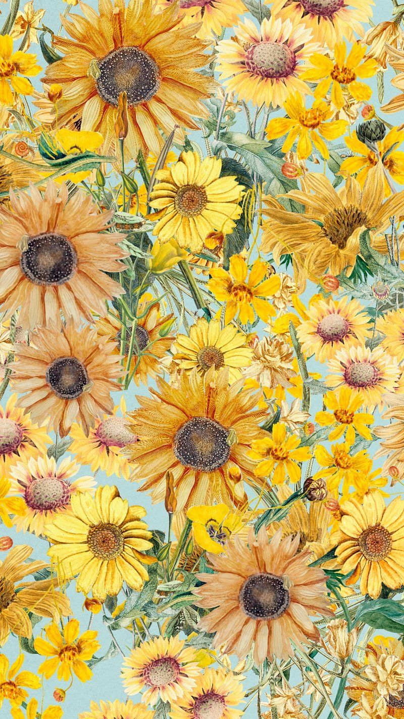 Sonnenblumen, Blumenmuster, Gelb, Illustration, Galaxy S24, Wallpaper