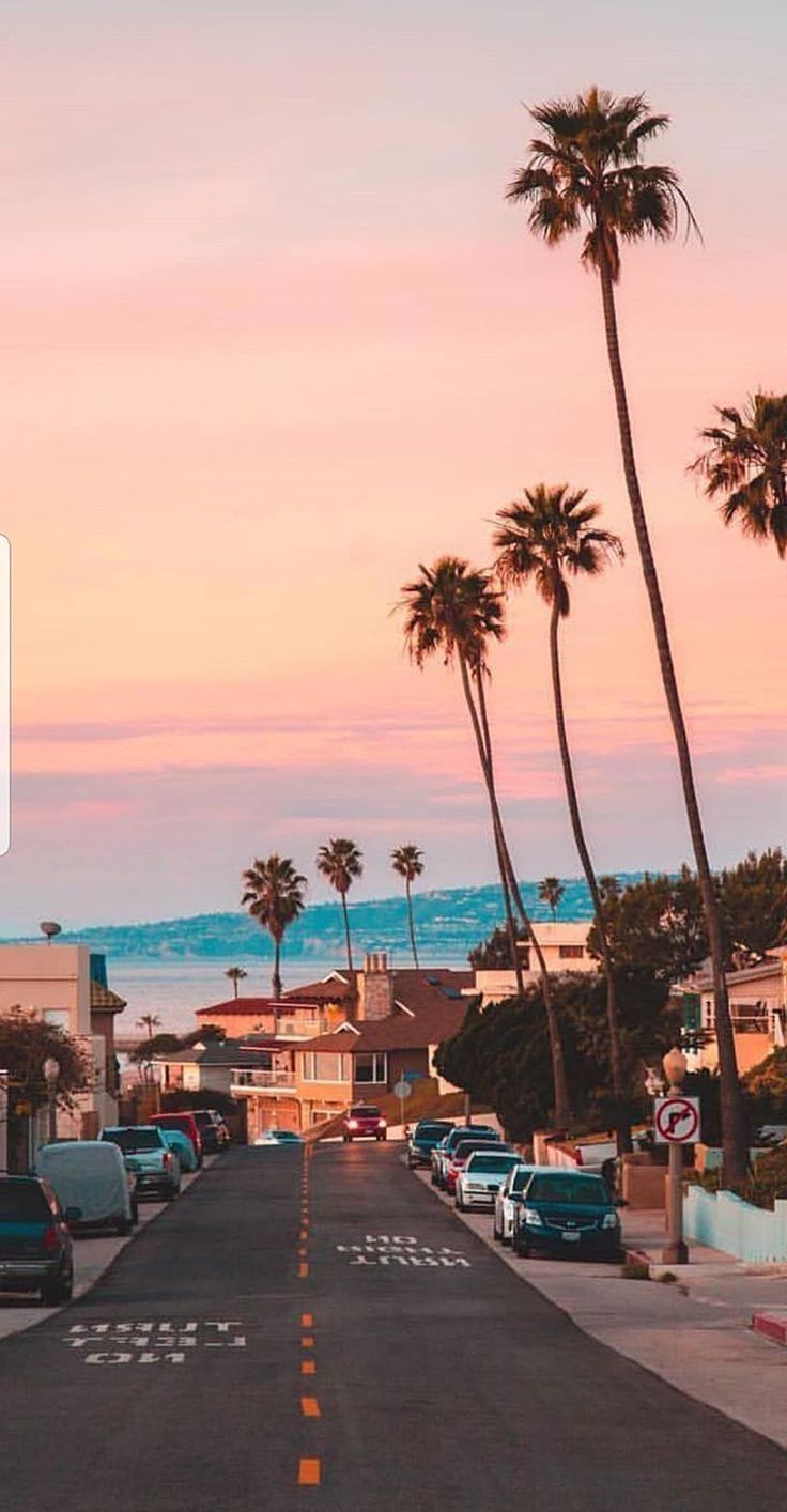Palmen, Straße, Rosa Himmel, Kalifornien, Retro-Ästhetik, HD, Handy-Hintergrundbild