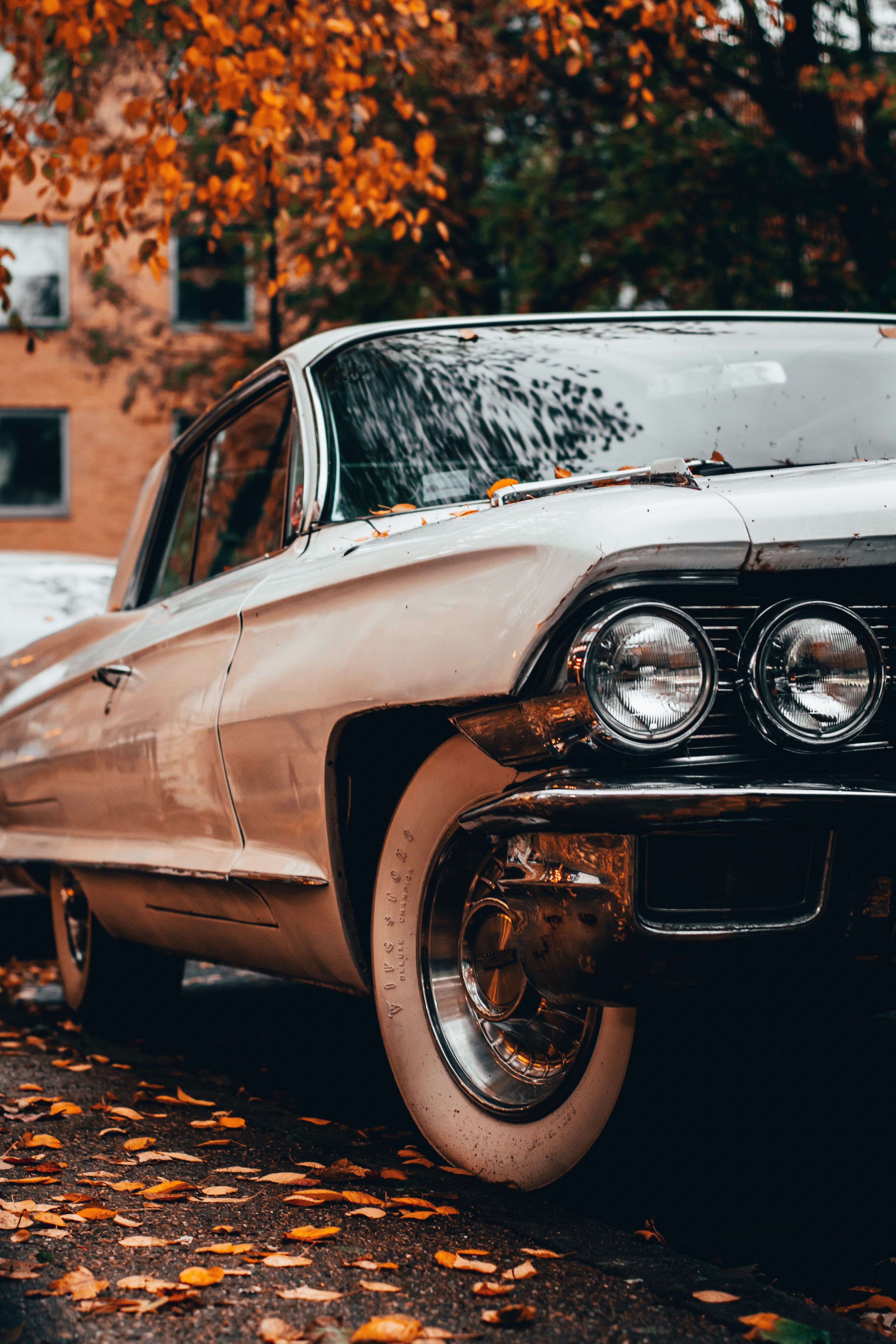Oldtimer, Cadillac, Herbstlaub, Chrom, Klassiker, Hochformat, Hintergrundbild fürs Smartphone