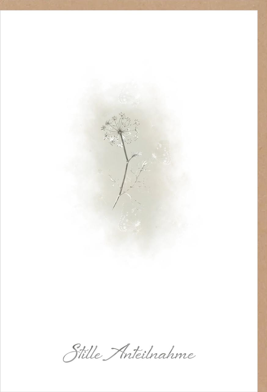 Trauerkarte, Stille Anteilnahme, Pusteblume, Weiß, Minimalistisch, Hintergrundbild fürs iPad