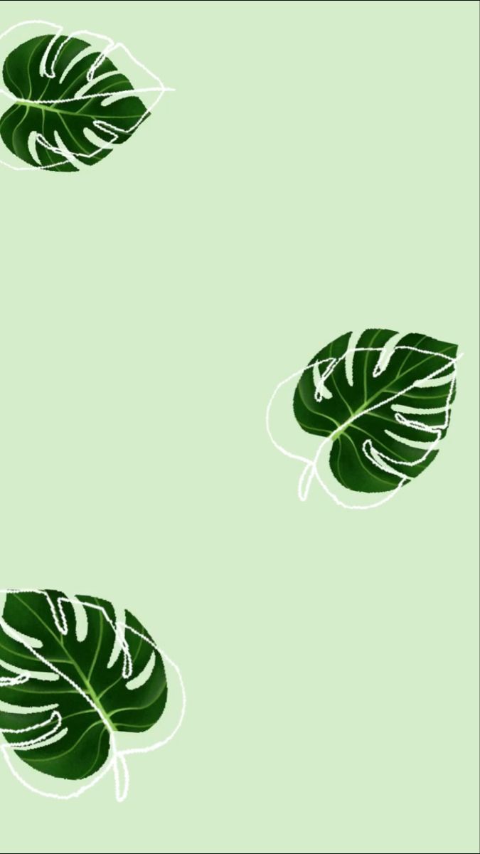 Monstera-Blätter, Mintgrün, Minimalistisch, Hochformat, Hintergrundbild fürs Smartphone