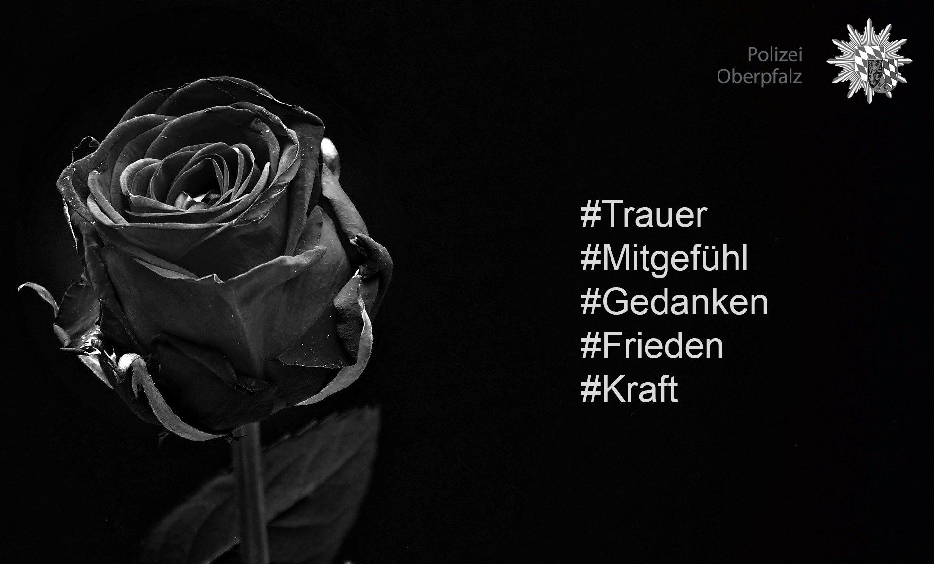 Polizei Oberpfalz, Schwarze Rose, Trauer, Hashtags, Schwarz-Weiß, Full HD, Windows-Hintergrundbild