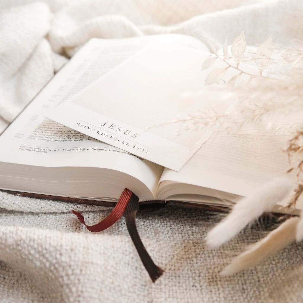 Bibel, Aufgeschlagenes Buch, Jesus, Beige, Trockengräser, Hintergrundbild fürs Tablet