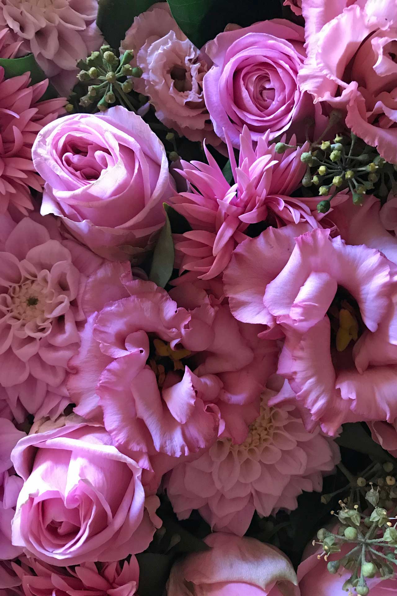 Rosen, Rosa Rosen, Blumenstrauß, Pink, Blüten, Hintergrundbild für iPhone und Android