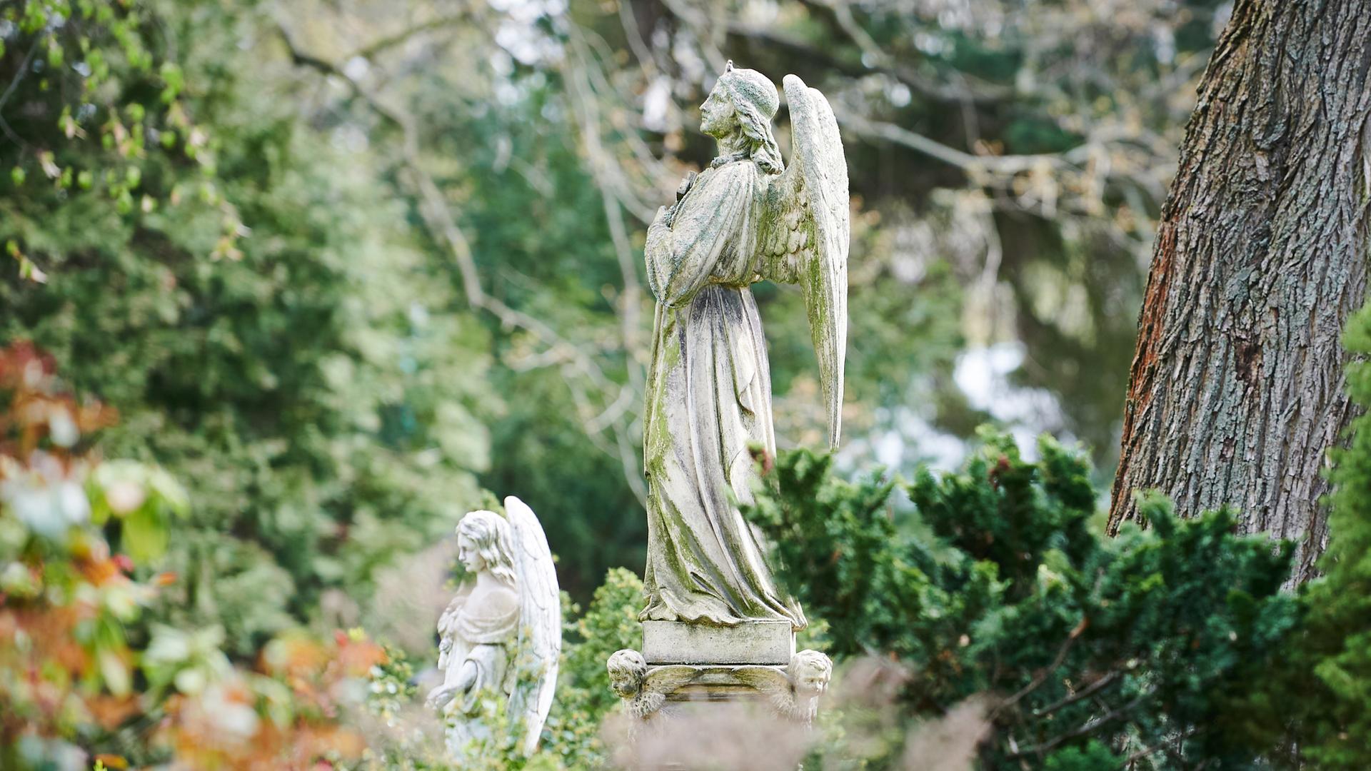 Engelsstatue, Friedhof, Bäume, Grün, Ruhe, Full HD, Desktop-Hintergrund für Windows