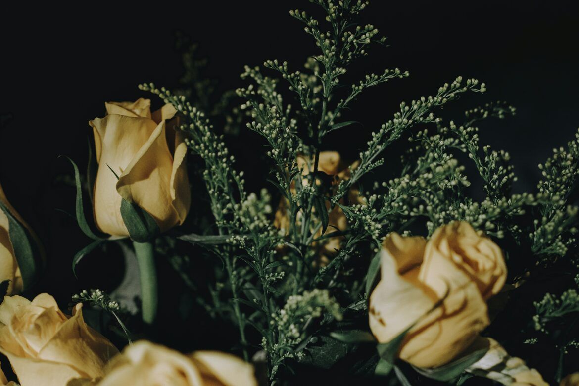 Rosen, Gelbe Rosen, Dunkler Hintergrund, Grün, Stillleben, Wallpaper