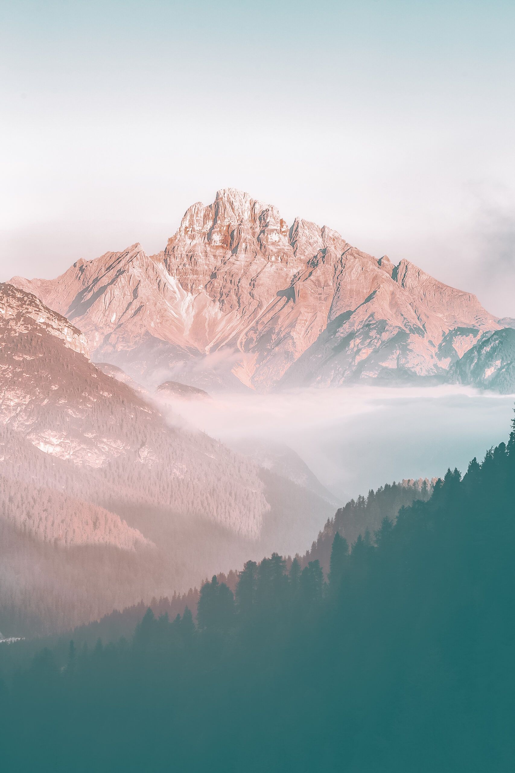 Berge, Nebel, Wald, Alpenglühen, Pastell, Rosa Gipfel, QHD+, iPad-Hintergrundbild