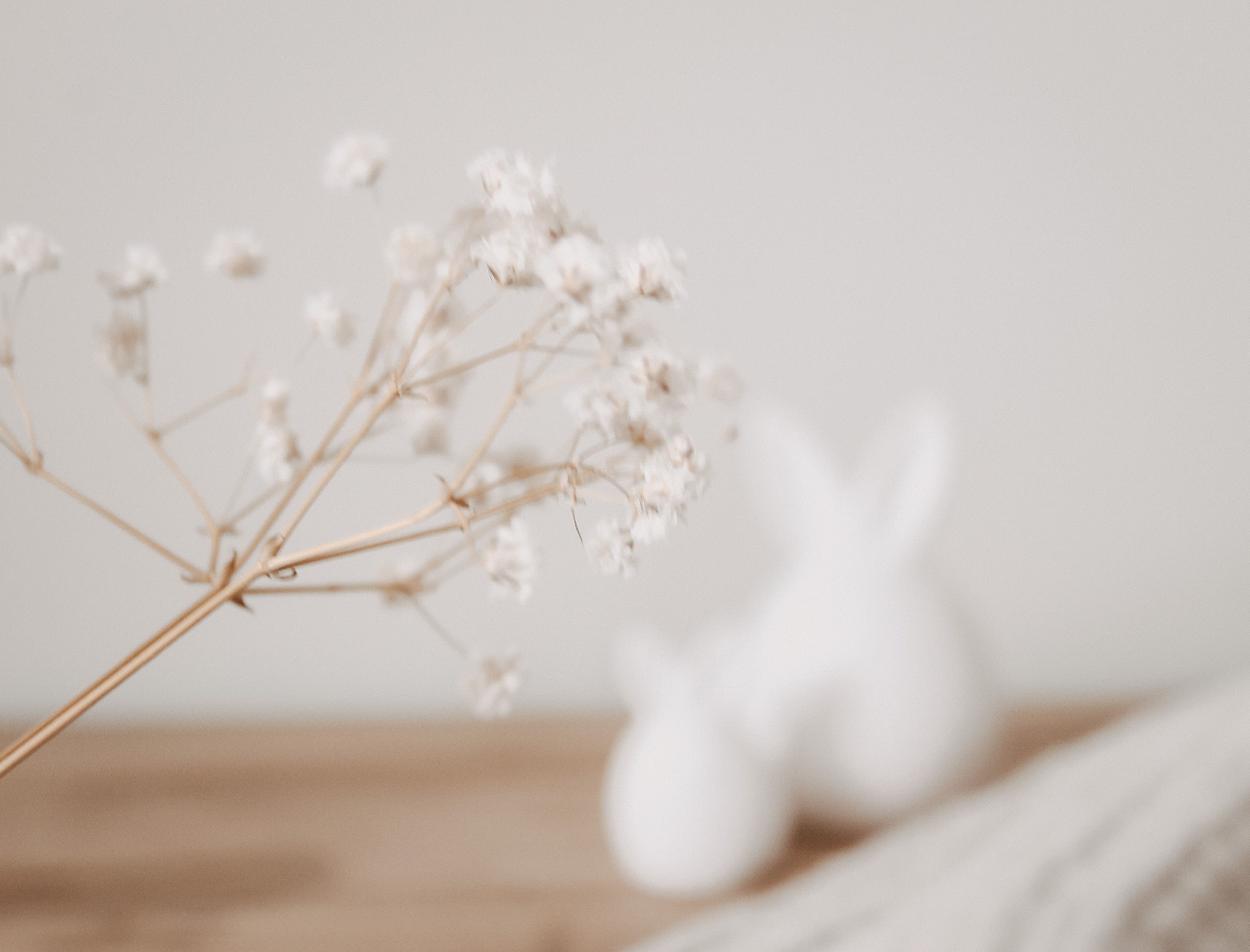 Osterhase, Figur, Schleierkraut, Trockenblumen, Beige, Hygge, 2K-Hintergrundbild für PC