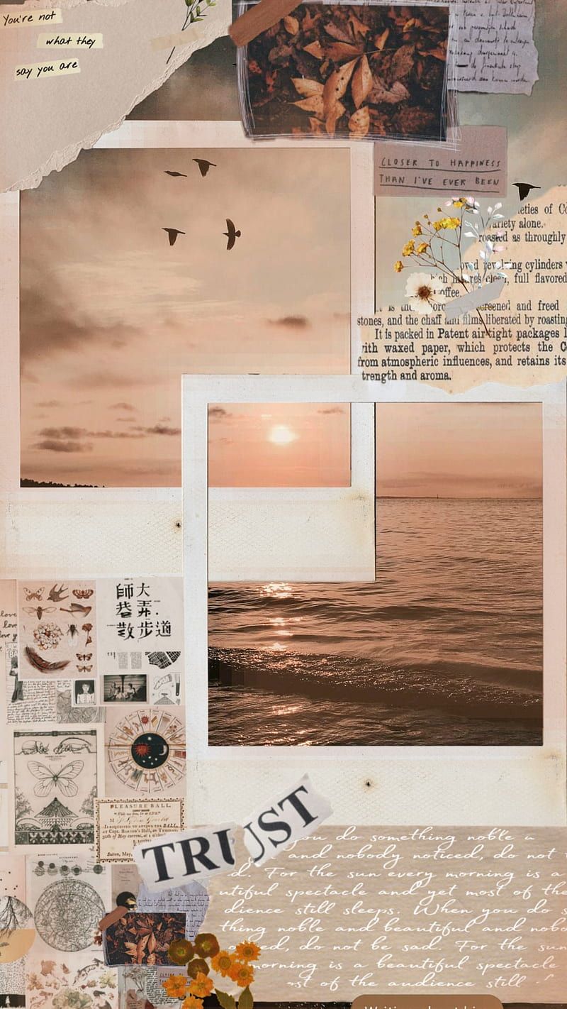Collage, Polaroid, Meer, Trust, Ästhetik, HD, Handy-Hintergrund im Hochformat