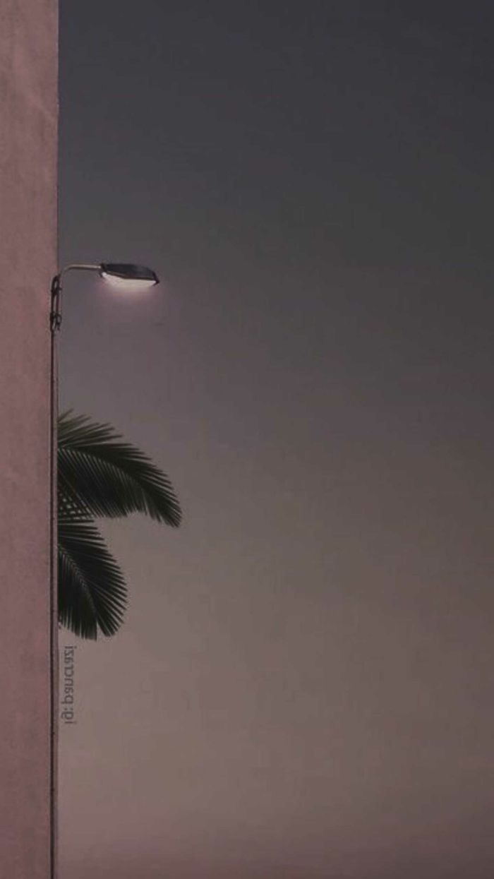 Straßenlaterne, Palme, Minimalismus, Grau, Dämmerung, Hochformat, Hintergrundbild fürs Smartphone