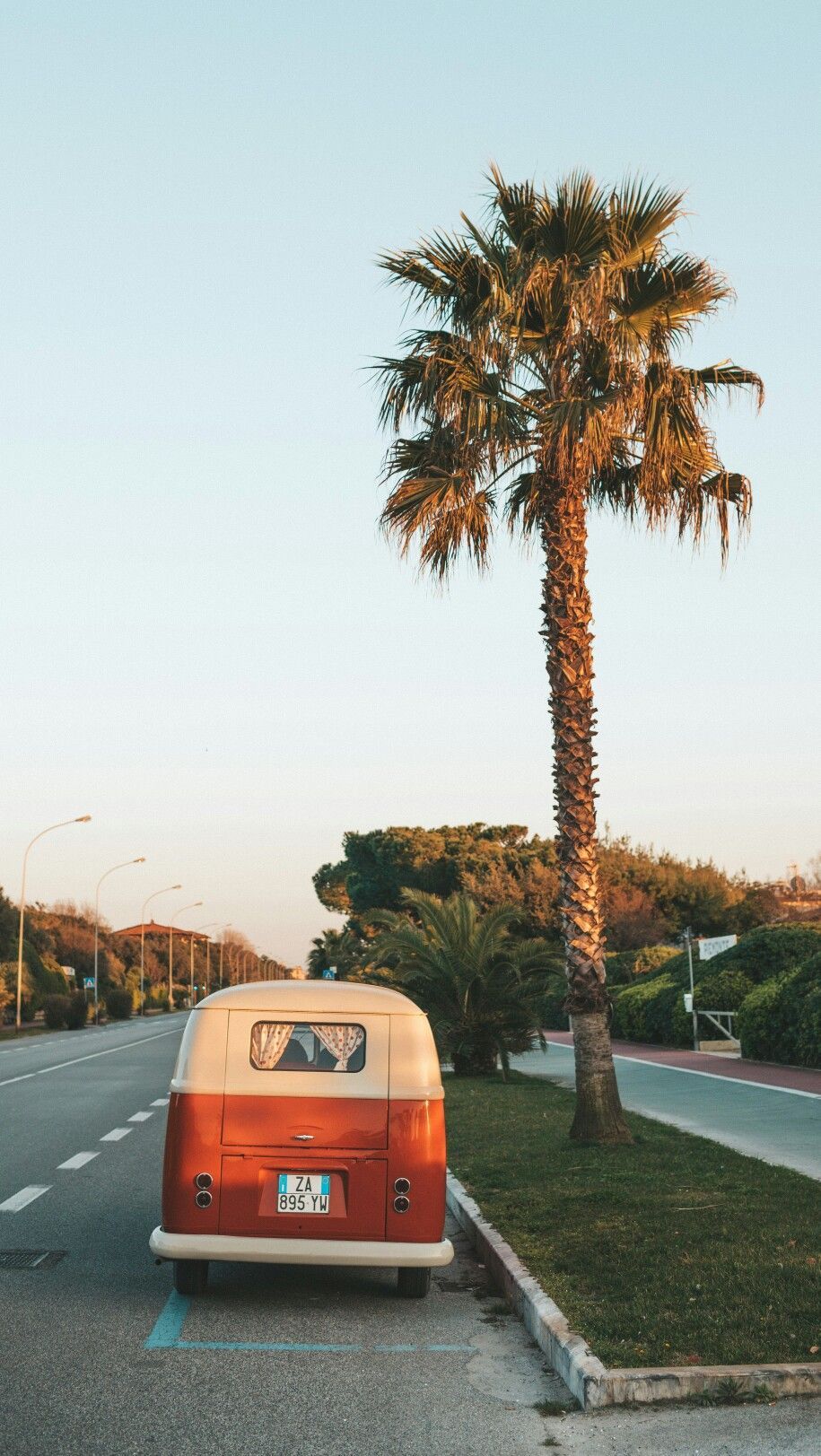 VW Bulli, Volkswagen, Palme, Straße, Sommer, HD, Hintergrundbild fürs Handy